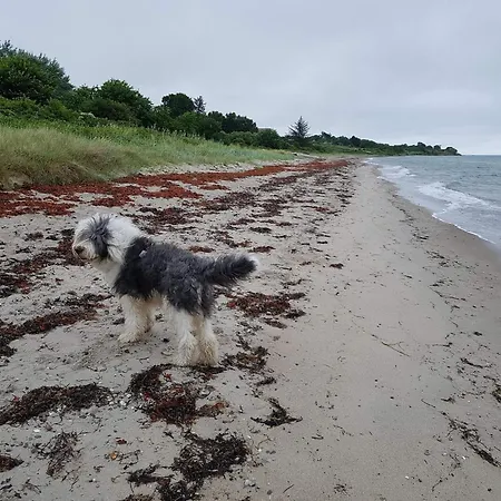 Сasa de vacaciones 5 Person In Malling-by Traum